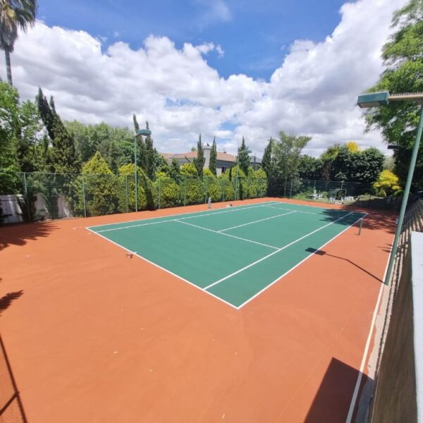 Hard Court Paints - Tennis