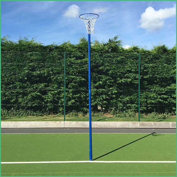 Outdoor basketball hoop on a blue pole with a white net, standing on a green court with a fence and trees in the background; long shadow to the right